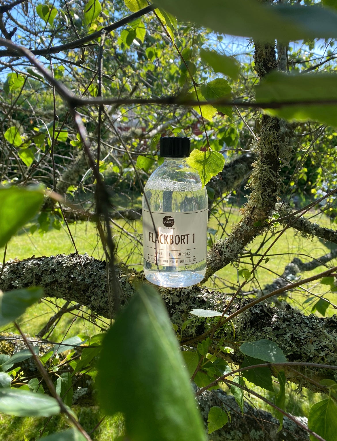 Fläckborttagningsmedel 1